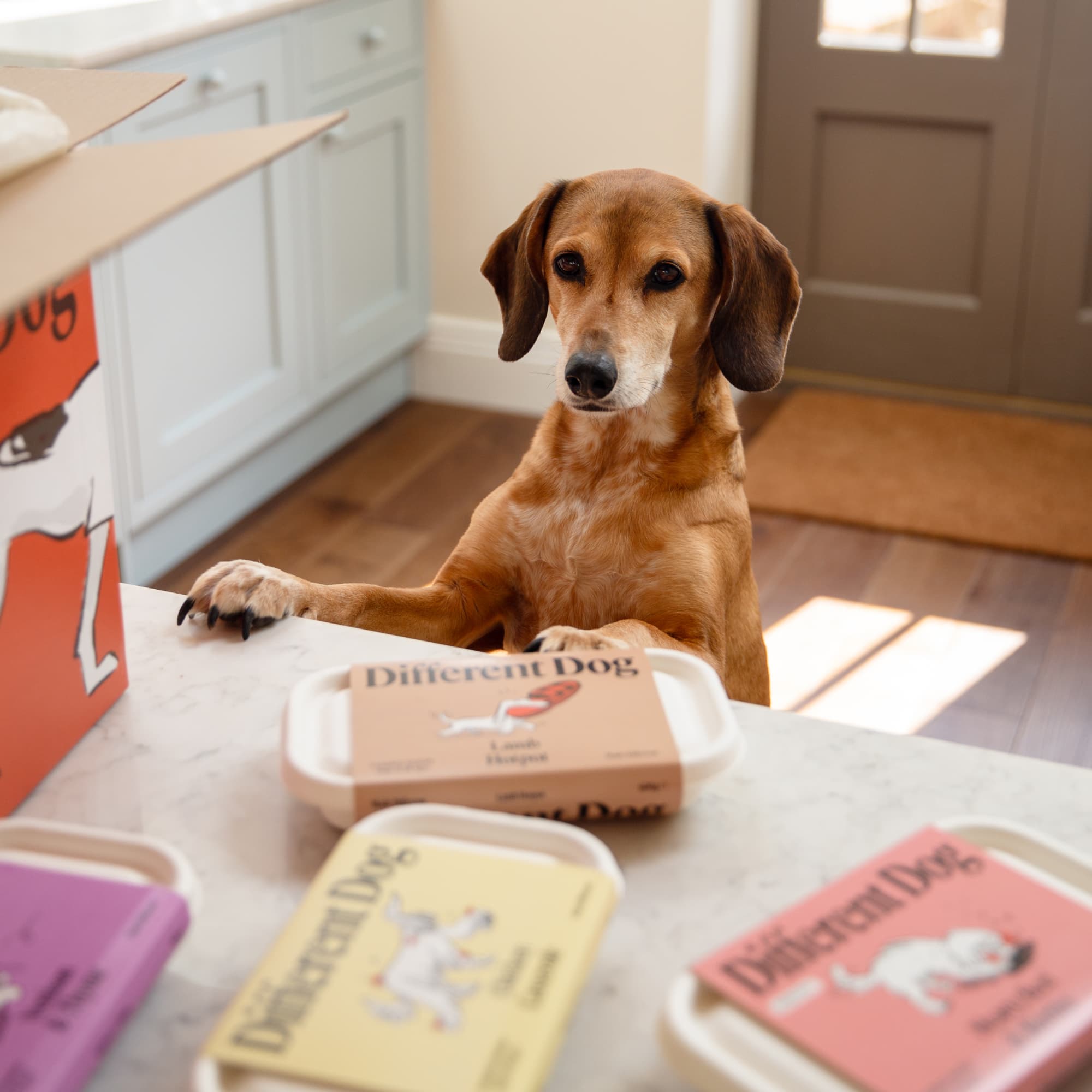 We deliver with care